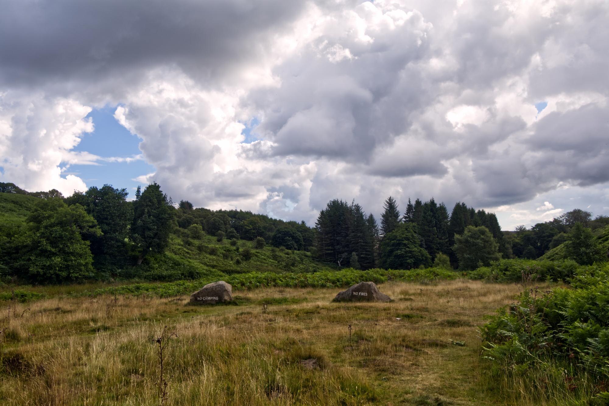 Dark clouds above grassland, scattered rocks and trees on the North Yorkshire Moors.
